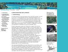 Tablet Screenshot of flimser-bergsturz.ch